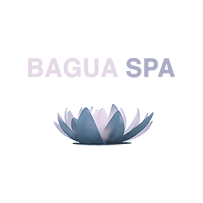 logo bagua