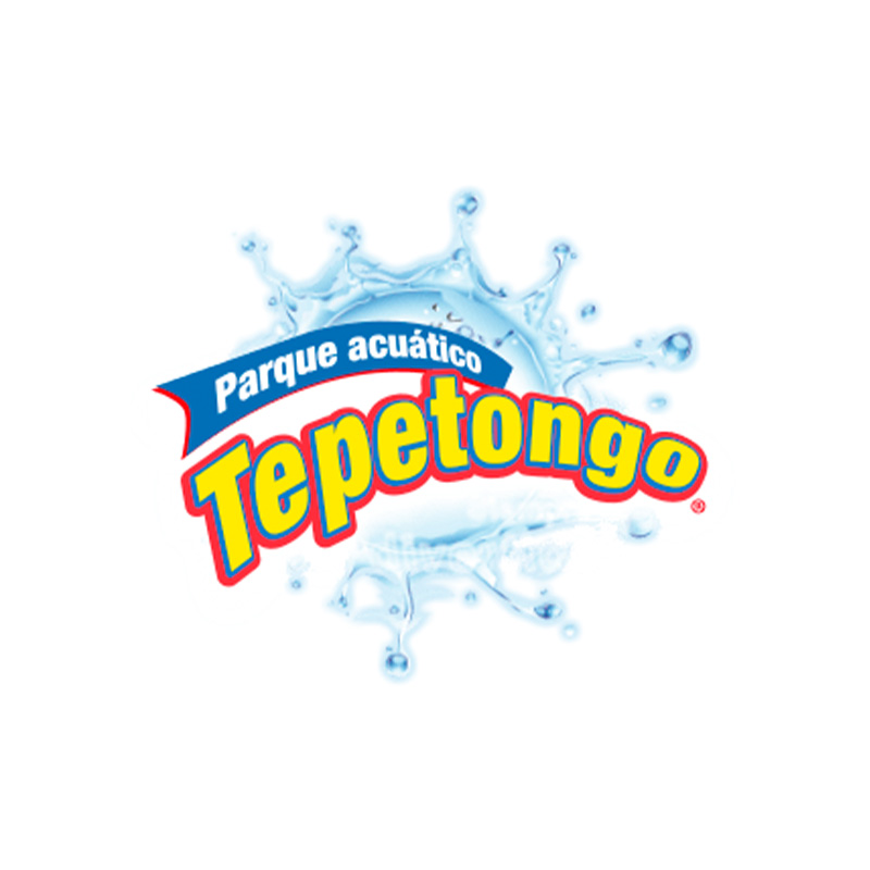 logo tepetongo