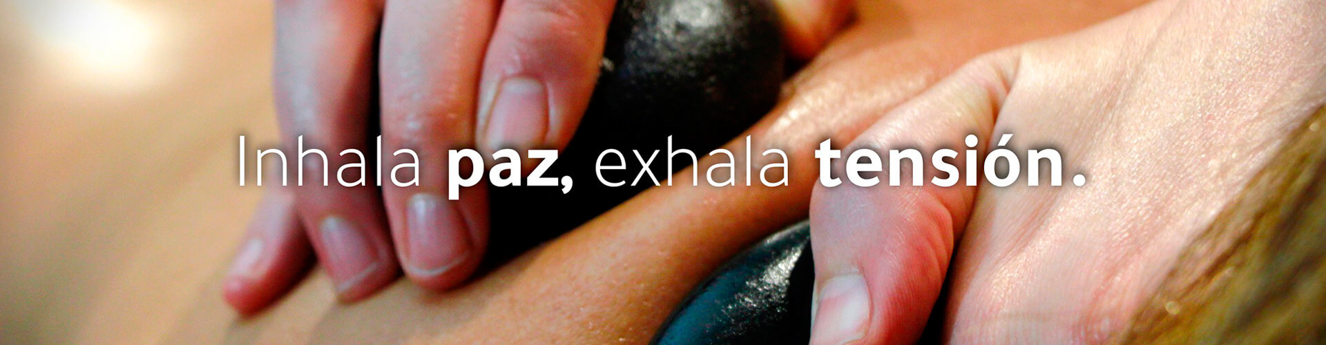 portada tierra mojada