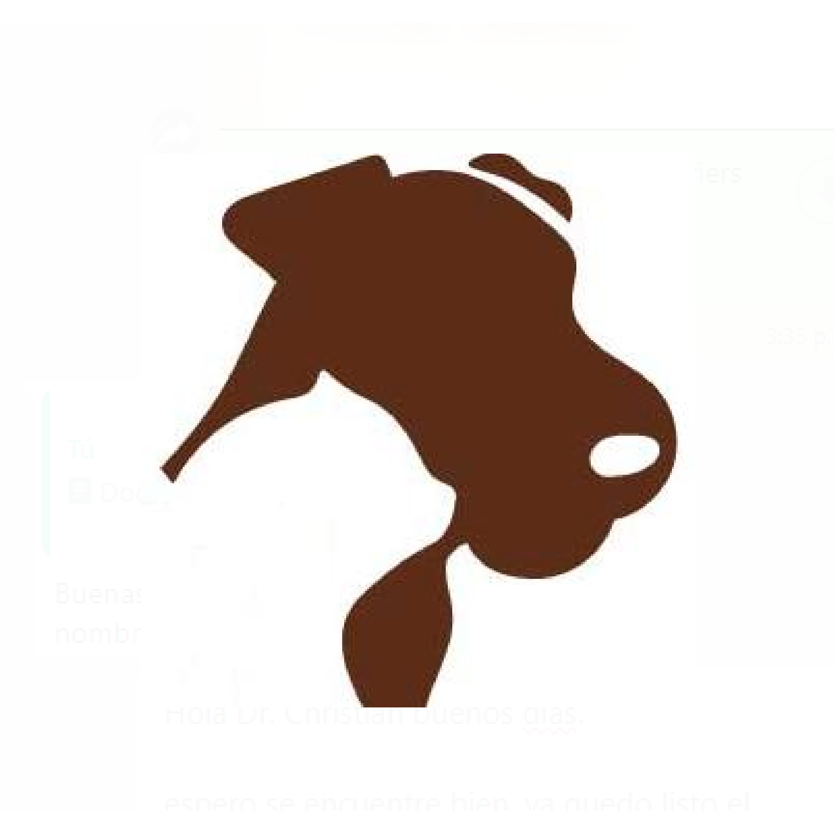 logo terriers