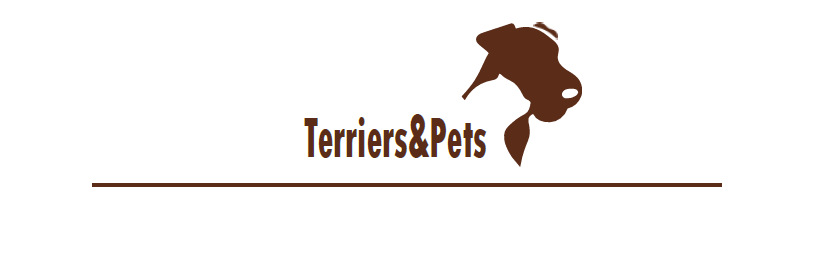 portada terriers