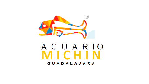 Acuario Michin