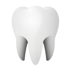 asistencia dental-01