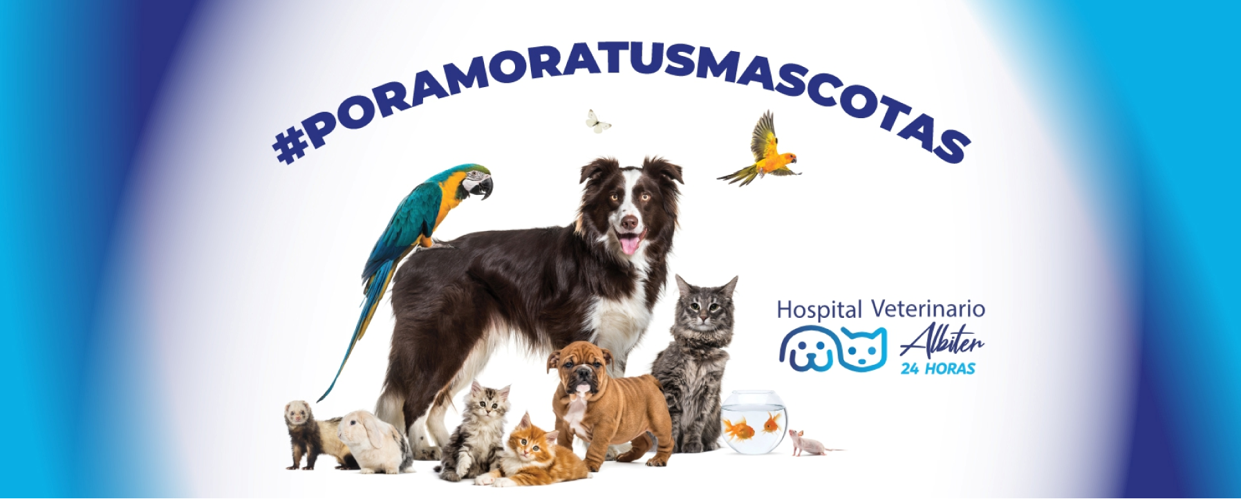Hospital Veterinario Albíter