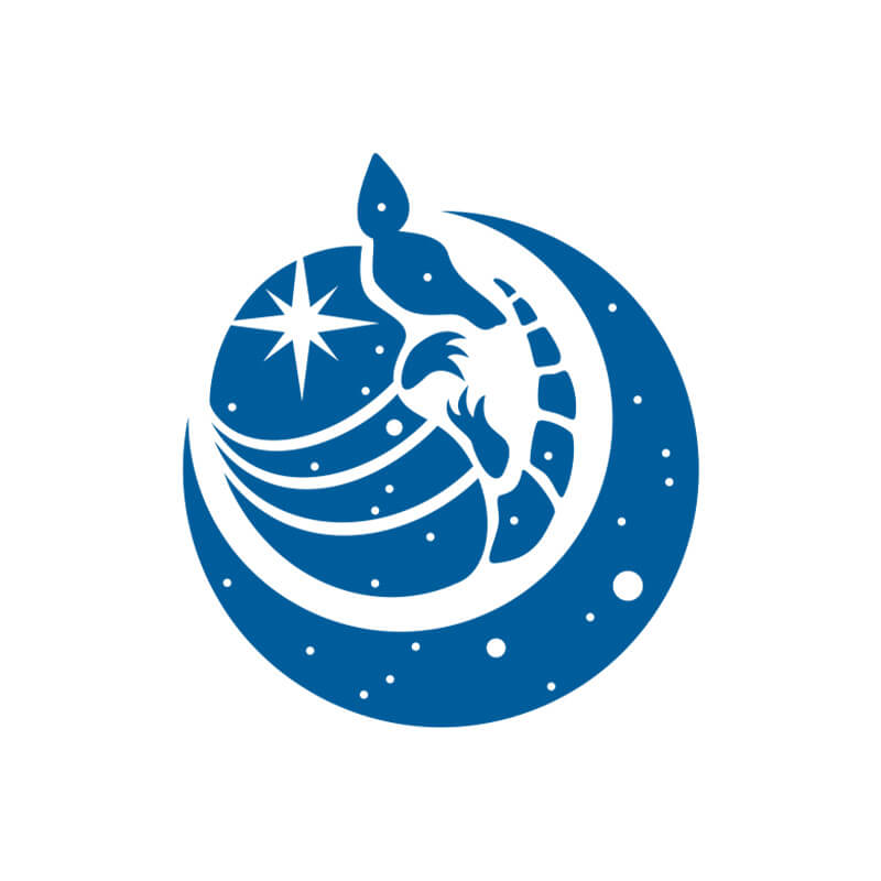 logo armadillo