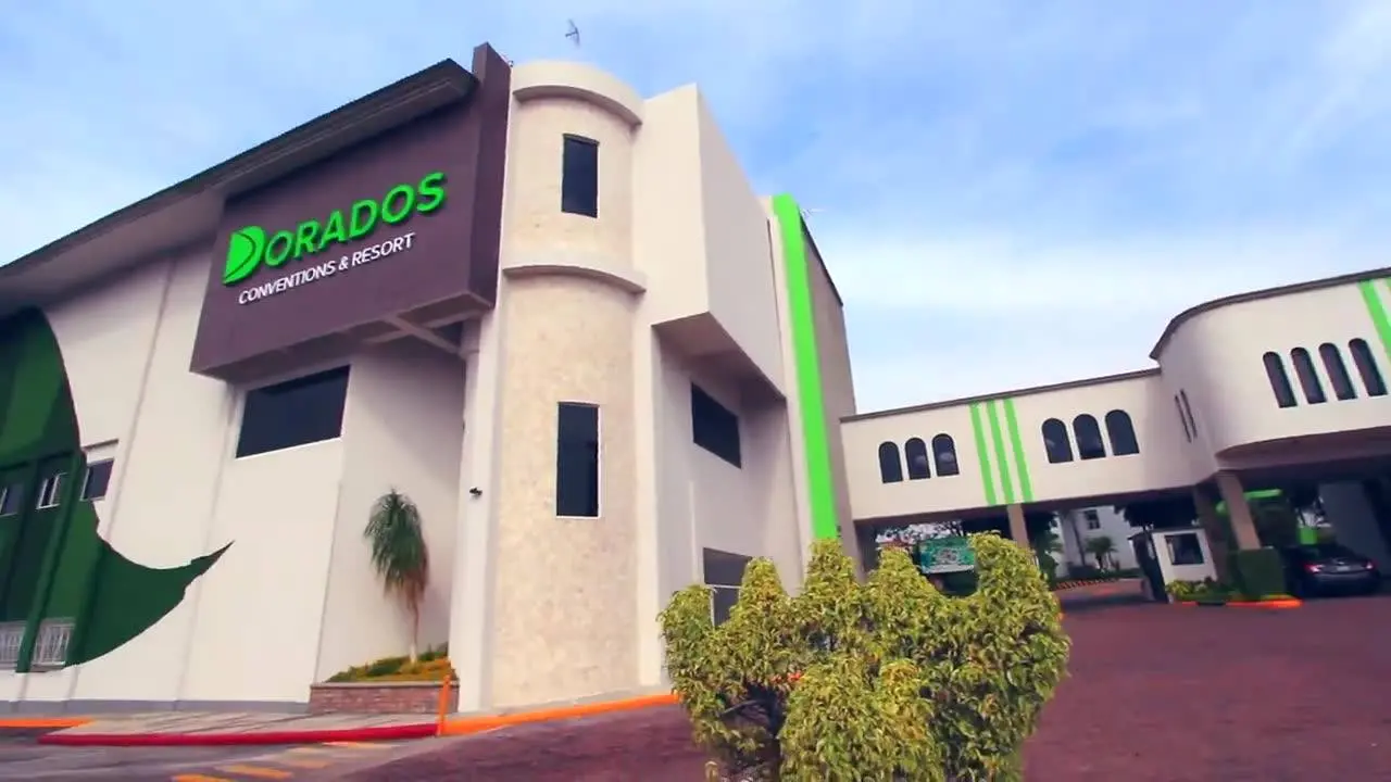 dorados